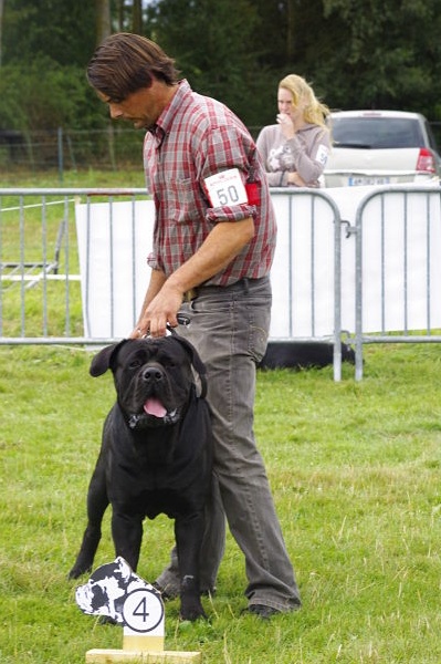 Fakir du Gilwesk - 4 EME EXCELLENT cl ouverte male