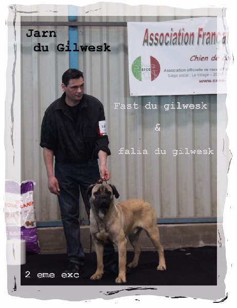 Jarn du Gilwesk - 2 eme excellent jeune male
