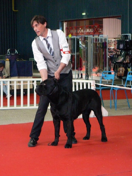 Fakir du Gilwesk - 4 eme excellent