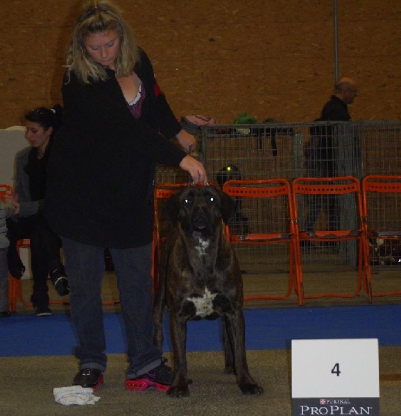 Fata du Gilwesk - 4 EME TRES BON CL JEUNE FEMELLE