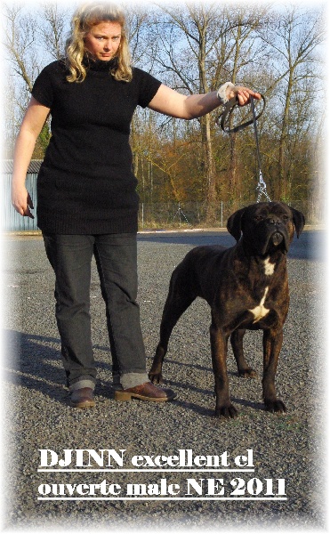 Djinn de la Dynastie des Sages - EXCELLENT NC cl ouverte male