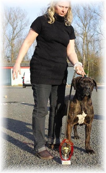 Fata du Gilwesk - 3 EME TRES PROMETTEUR