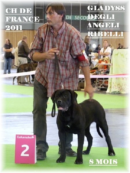 Gladyss degli angeli ribelli - 2 eme TRES PROMETTEUR CL PUPPY