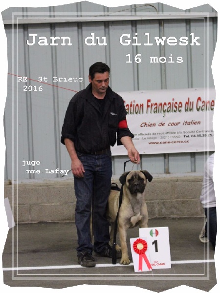 Jarn du Gilwesk - 1 er EXC CL JEUNE MALE CONFIRME