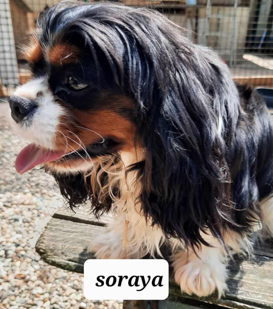 Publication : de la Lande du Médoc