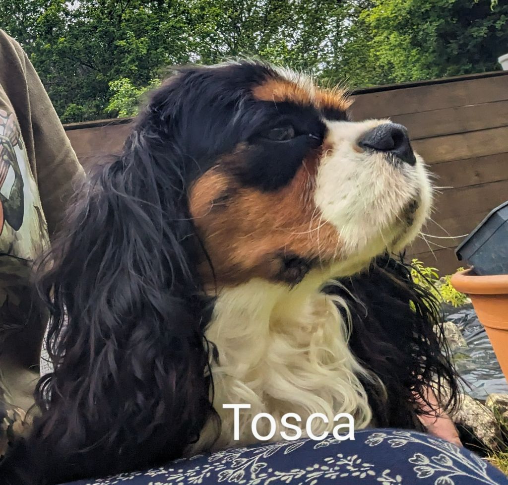 Publication : de la Lande du Médoc