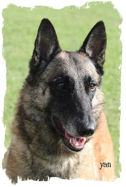 CH. Info du hameau St-Blaise - CAC-CACIB-BOB