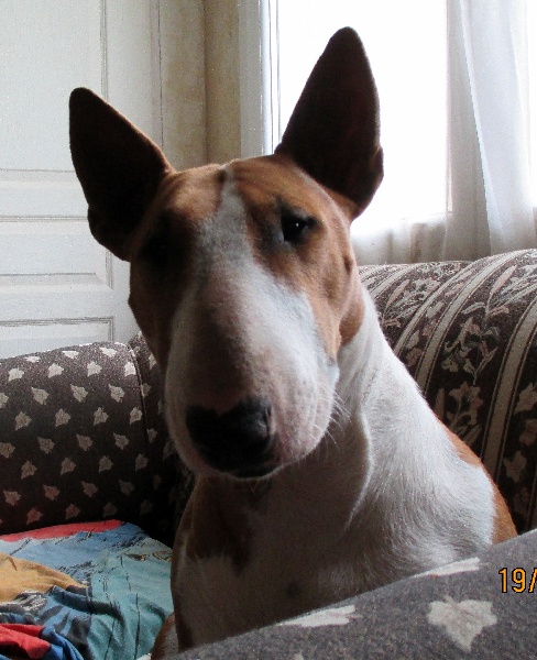 Publication : Crambully Auteur : sandrine