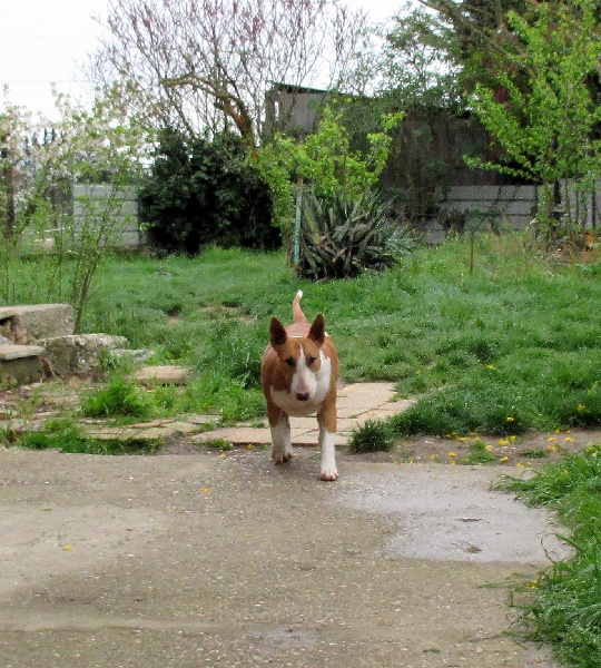 Publication : Crambully Auteur : sandrine