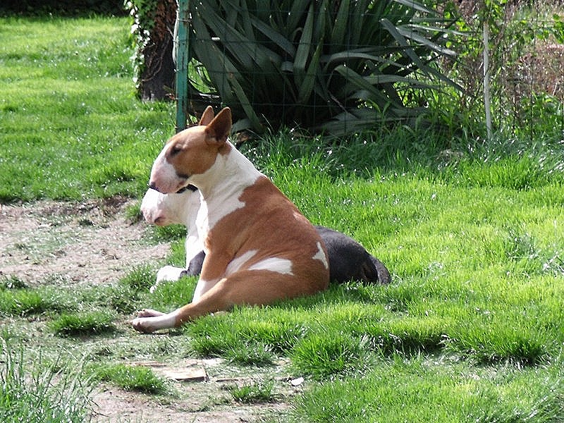 Publication : Crambully Auteur : sandrine