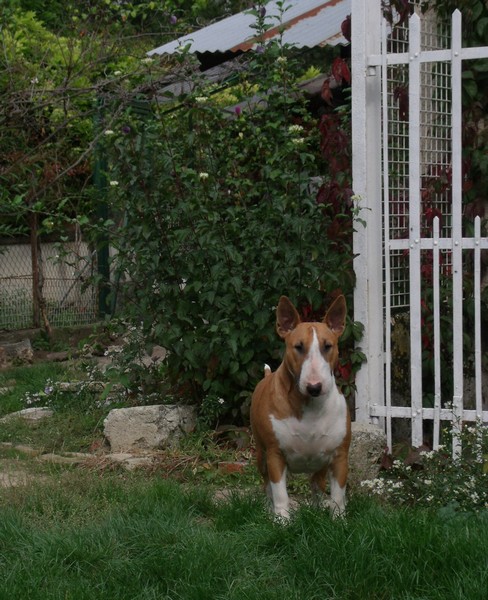 Publication : Crambully Auteur : sandrine