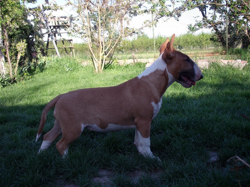 Publication : Crambully Auteur : sandrine