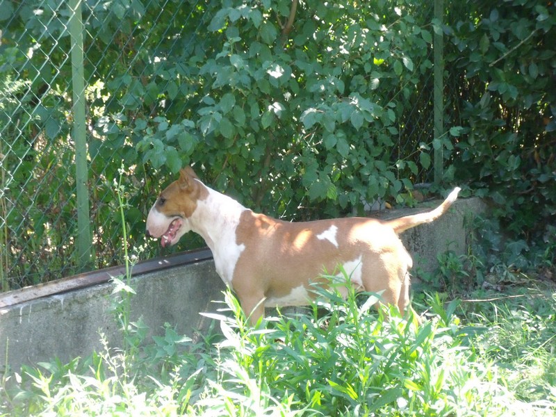 Publication : Crambully Auteur : sandrine