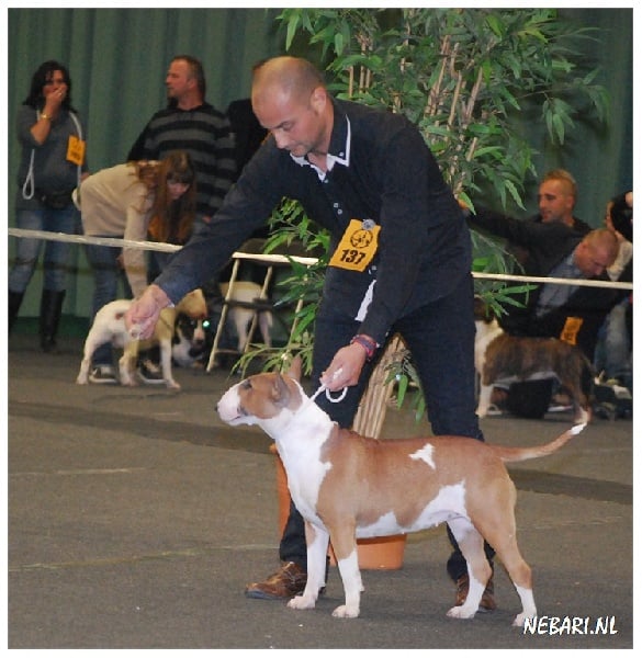 Publication : Crambully Auteur : sandrine