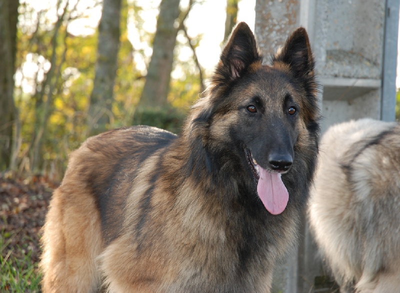 Bianca du souvenir d'Otonne
