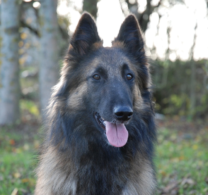 Bianca du souvenir d'Otonne