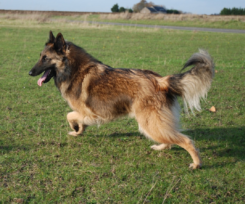 Bianca du souvenir d'Otonne