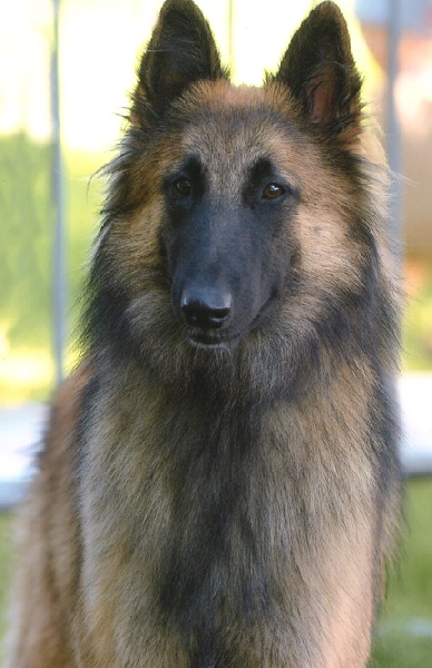 Bianca du souvenir d'Otonne