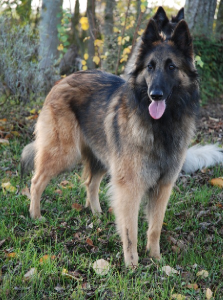 Bianca du souvenir d'Otonne