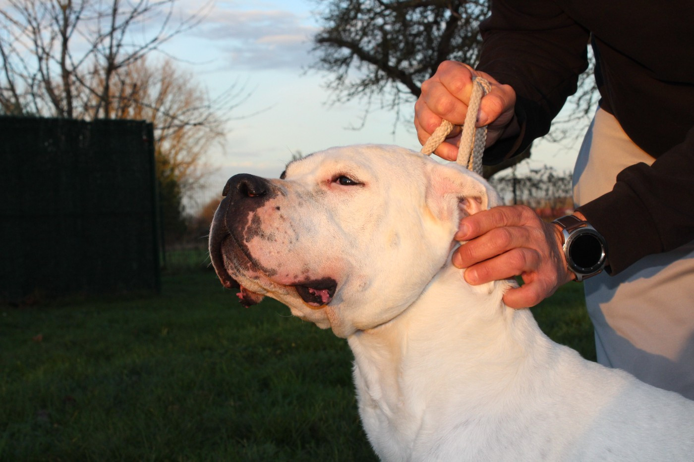 Priska del Camino Del Oro Blanco