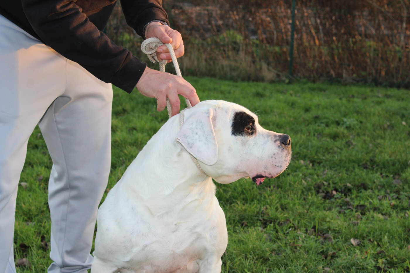 Priska del Camino Del Oro Blanco
