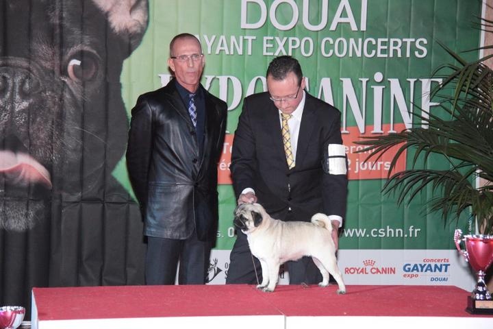 Galice del Camino Del Oro Blanco - 1 ère EXCELLENT CACS MEILLEUR DE RACE