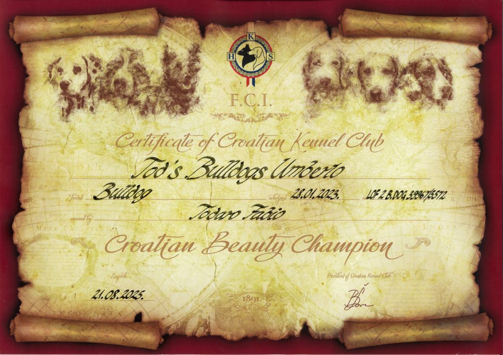 CH. Tod's Bulldogs Umberto