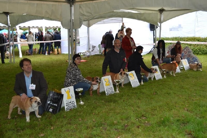 Blue-mary De winooka - 1er Classe Senior - Meilleur Senior - Championne du Club