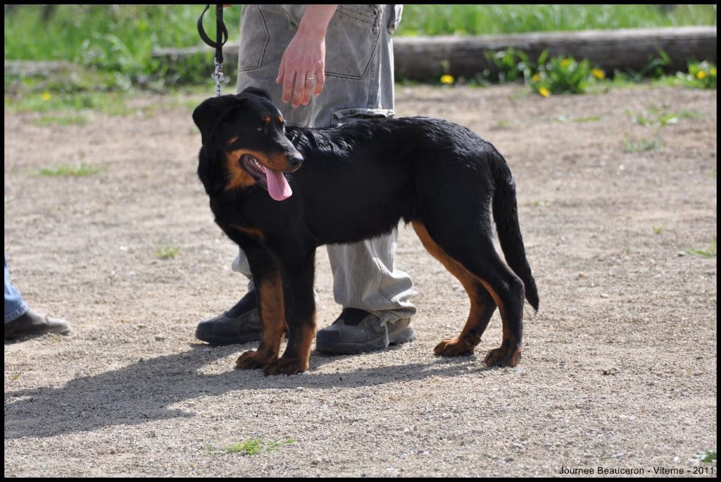 Fargas des bergers du Vent