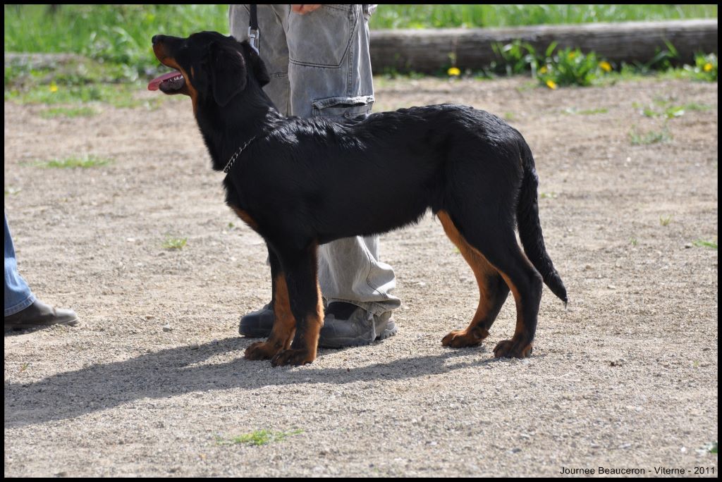 Fargas des bergers du Vent