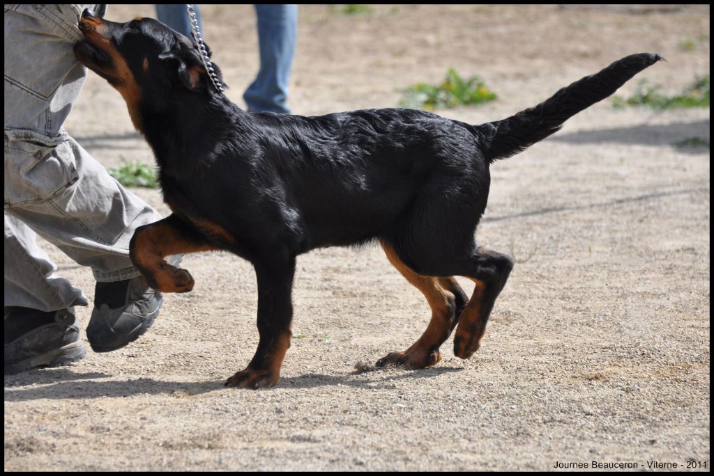 Fargas des bergers du Vent