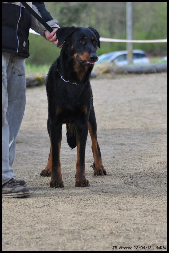 Fargas des bergers du Vent