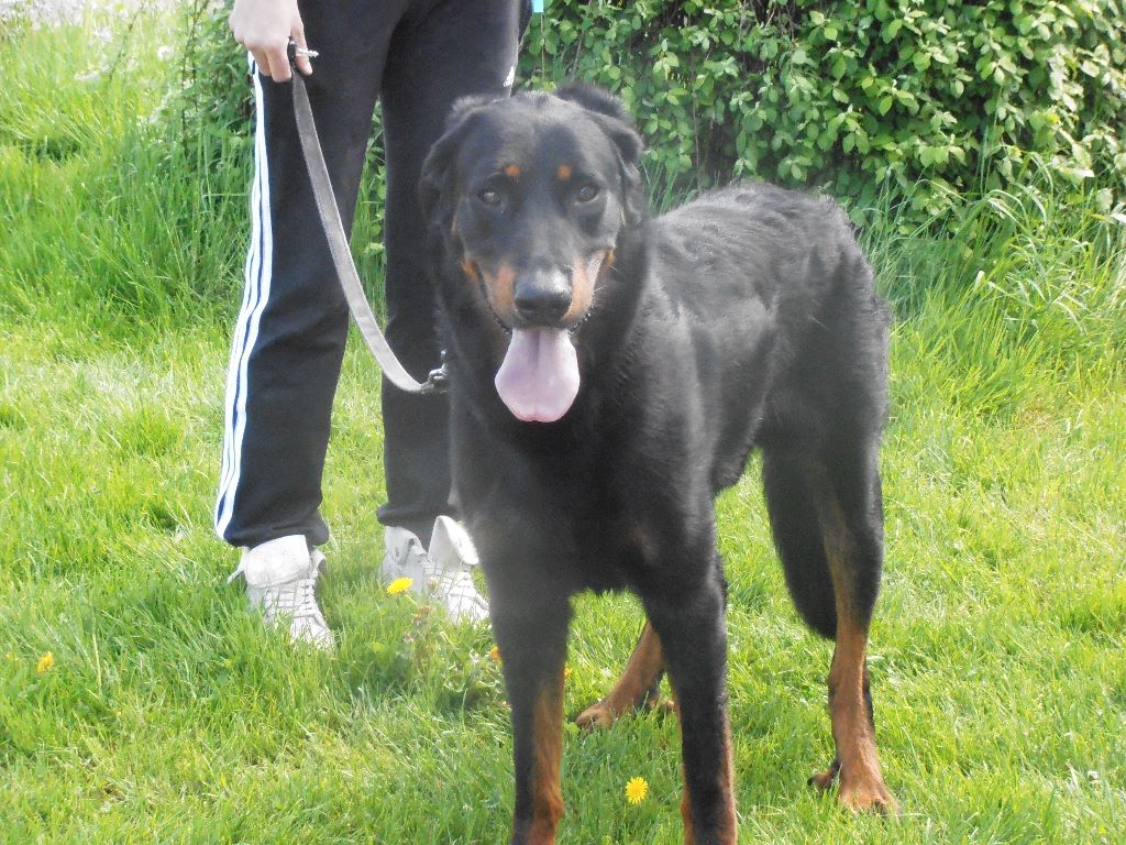 Fargas des bergers du Vent