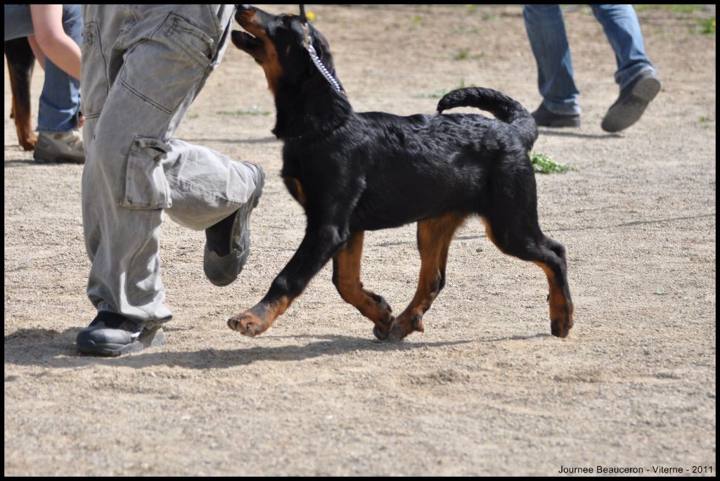 Fargas des bergers du Vent