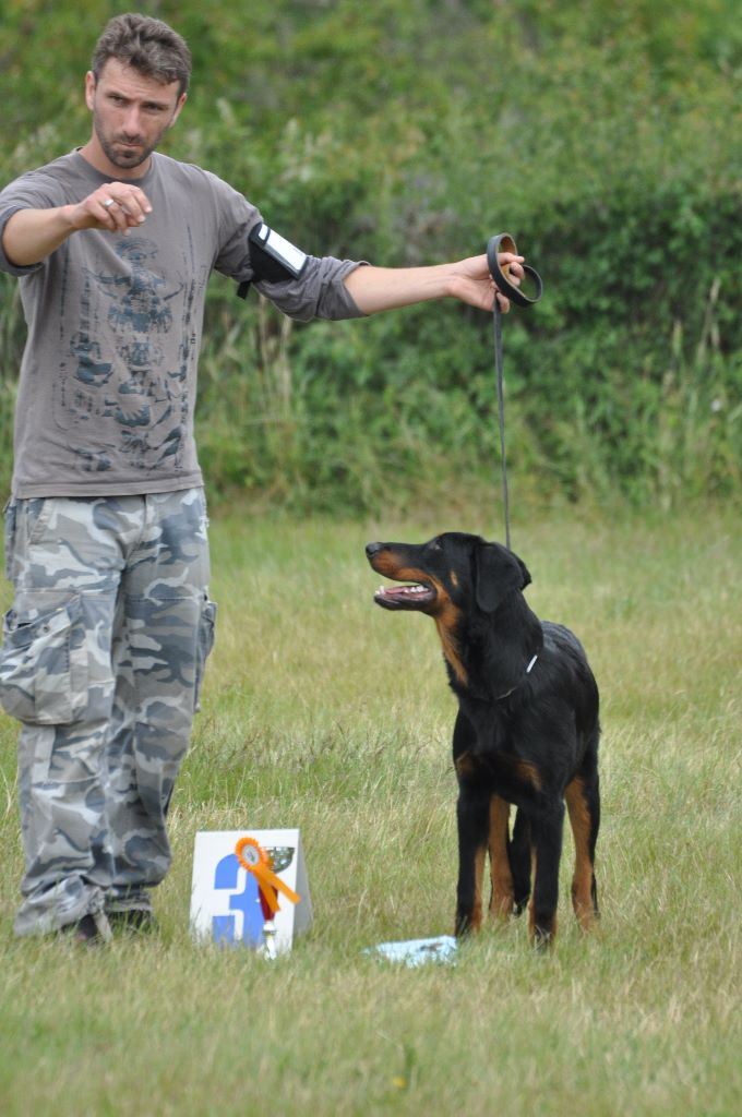 Fargas des bergers du Vent