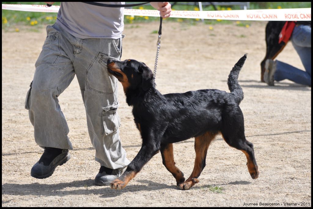 Fargas des bergers du Vent