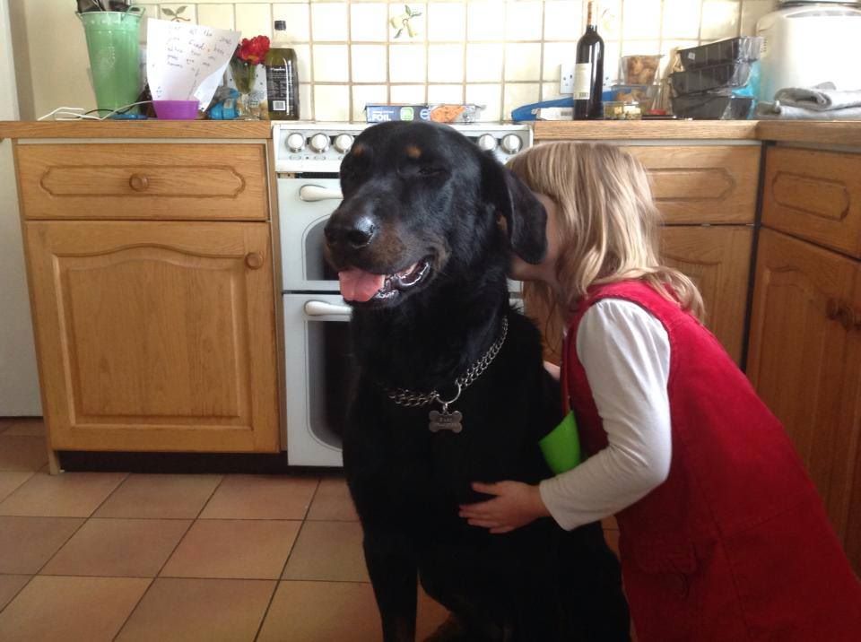 Dark des bergers du Vent