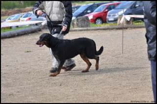 Fargas des bergers du Vent