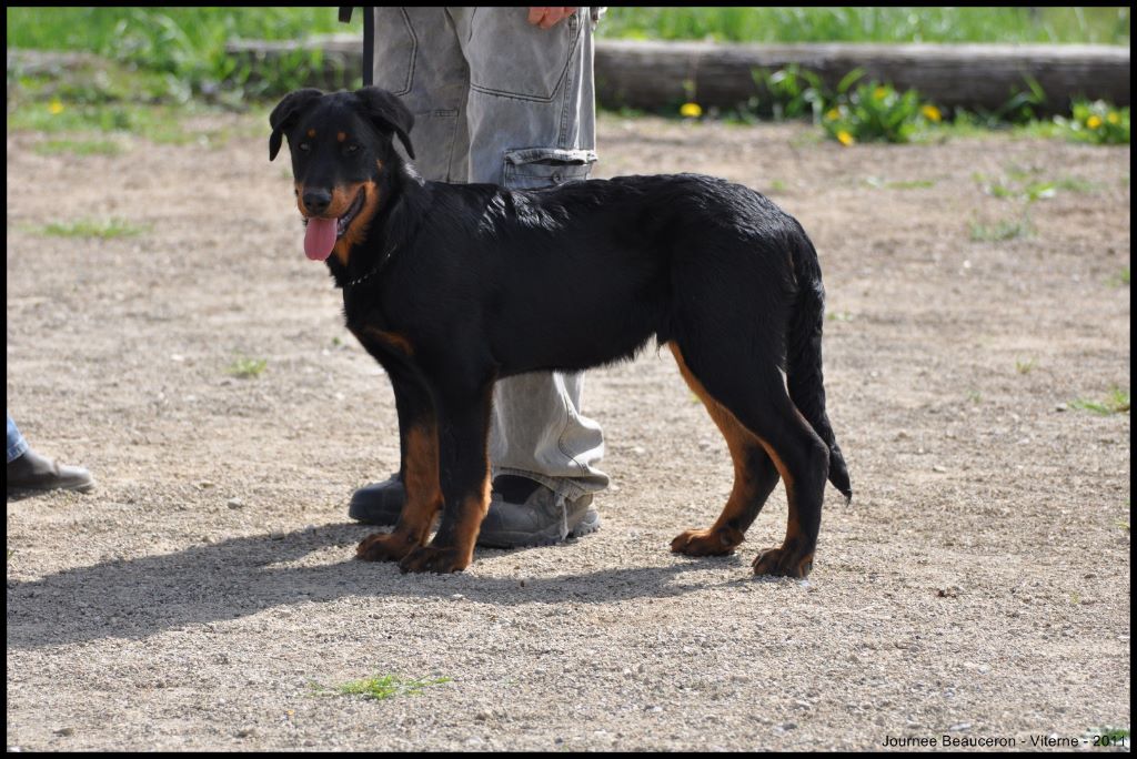 Fargas des bergers du Vent