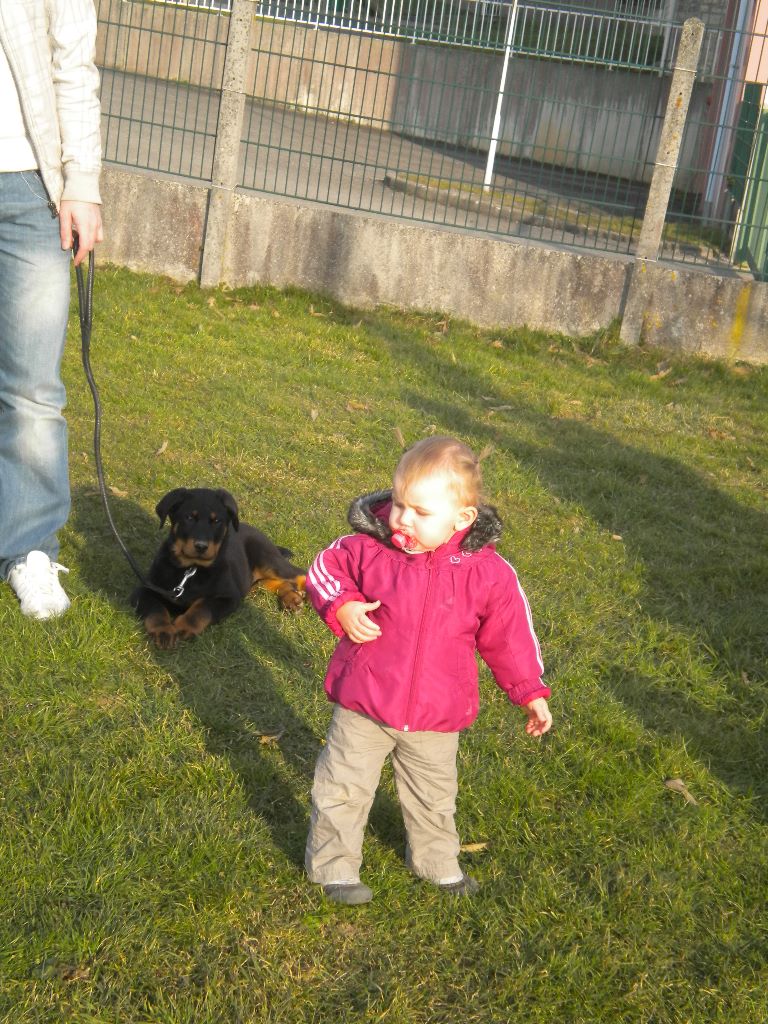 Fargas des bergers du Vent