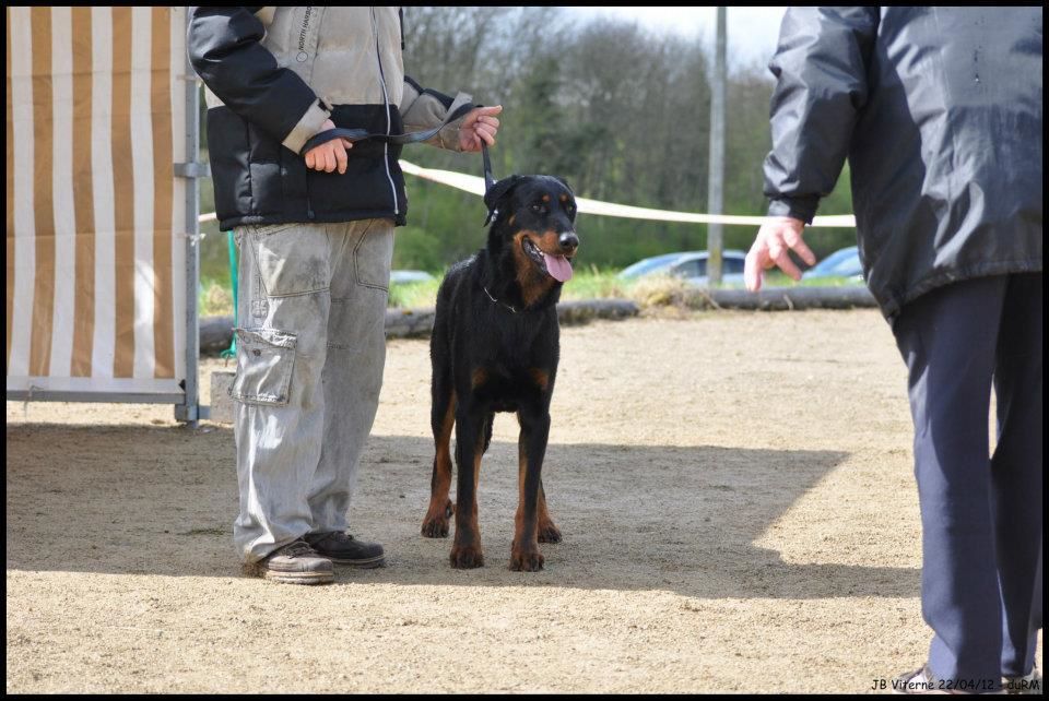 Fargas des bergers du Vent