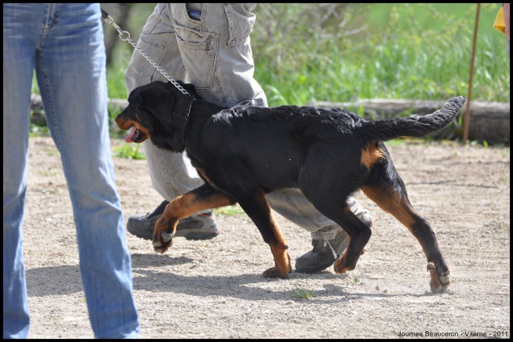Fargas des bergers du Vent