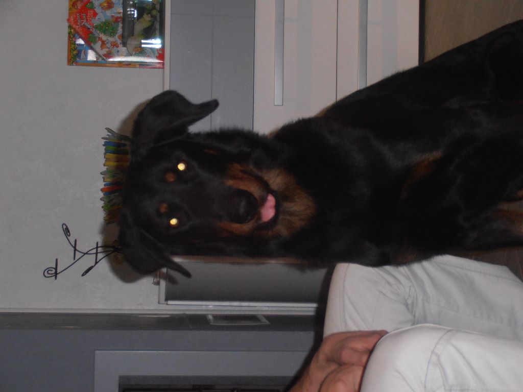 Fargas des bergers du Vent