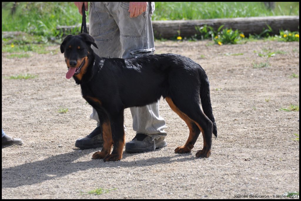 Fargas des bergers du Vent