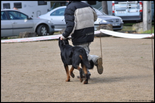 Fargas des bergers du Vent