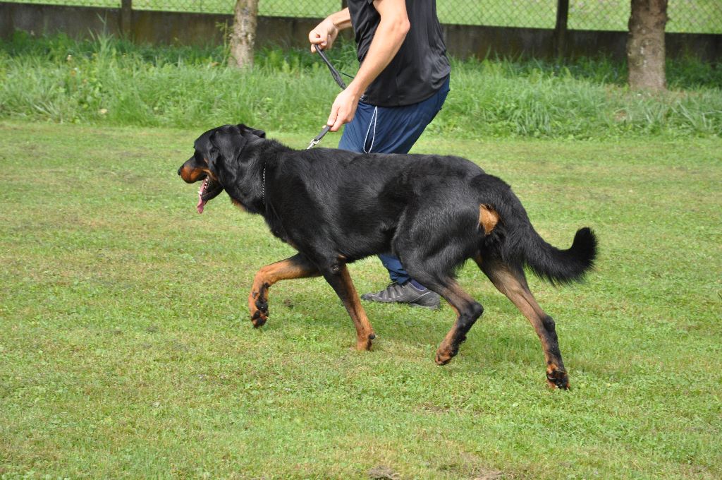 Fargas des bergers du Vent