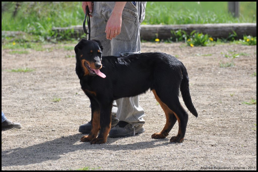 Fargas des bergers du Vent