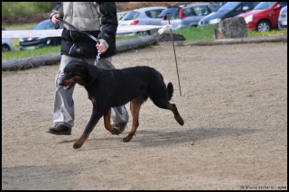 Fargas des bergers du Vent