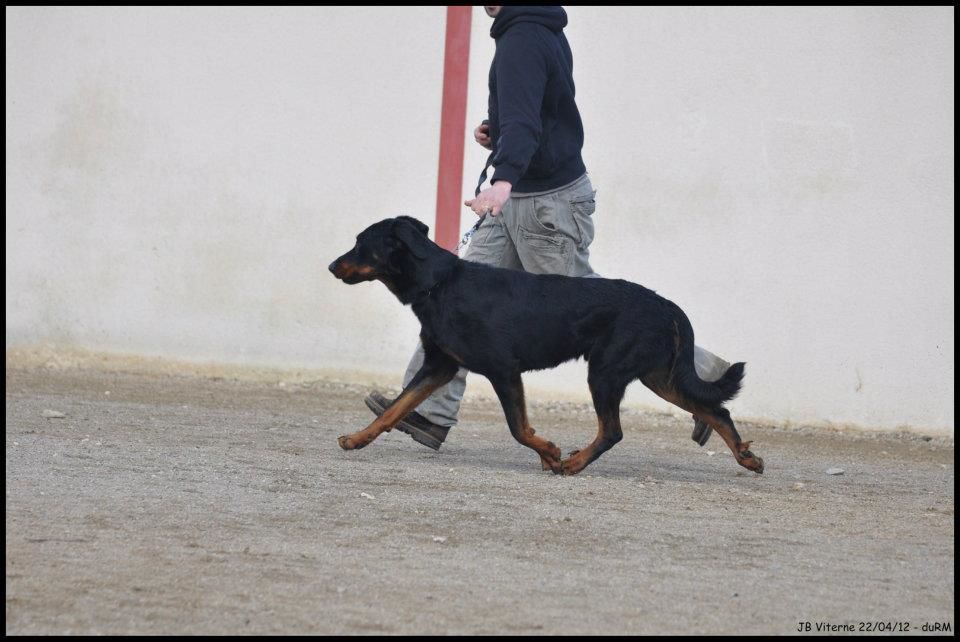 Fargas des bergers du Vent