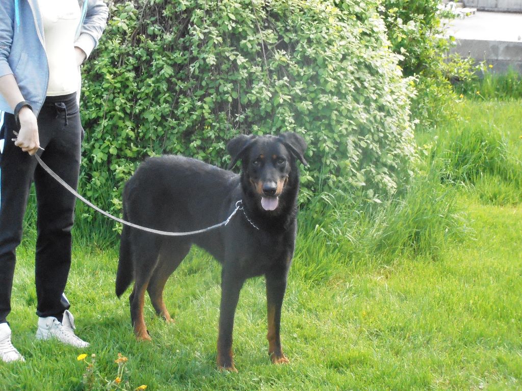 Fargas des bergers du Vent